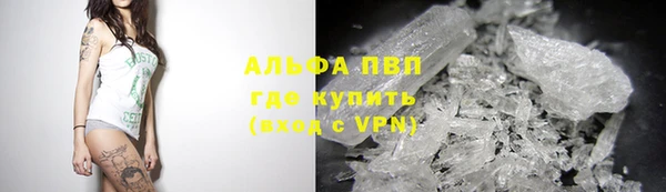 круглые Белокуриха