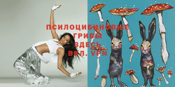 спайс Беломорск