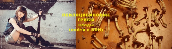 круглые Белокуриха