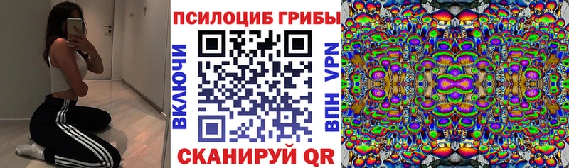 Псилоцибиновые грибы прущие грибы  kraken как зайти  Новочеркасск 