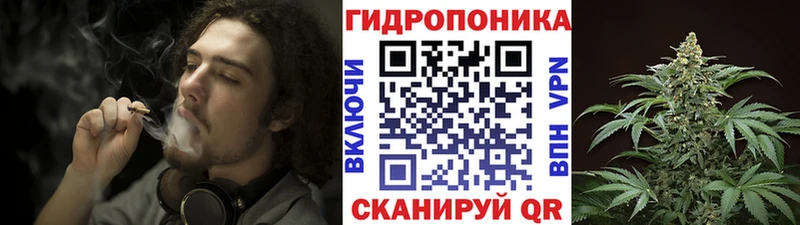 Бошки Шишки Amnesia  Новочеркасск 